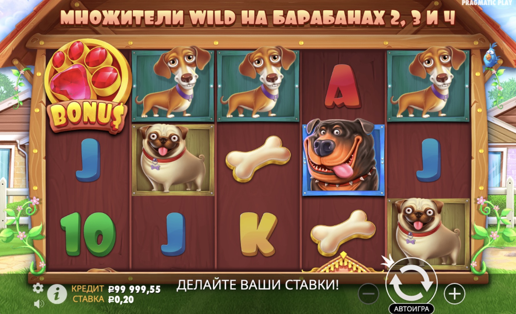   The Dog House          